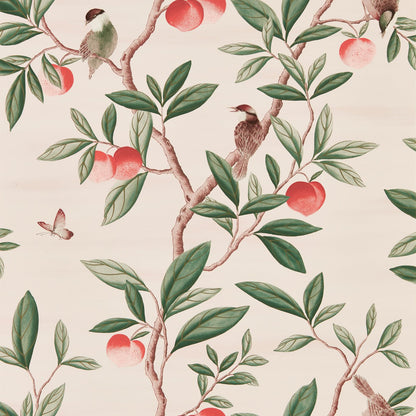 Ella Wallpaper - Powder/ Sage / Peach - Harlequin - HDHW112907