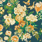 Emperor Peony Wallpaper - Midnight/Apricot - DWAW217120 - Sanderson