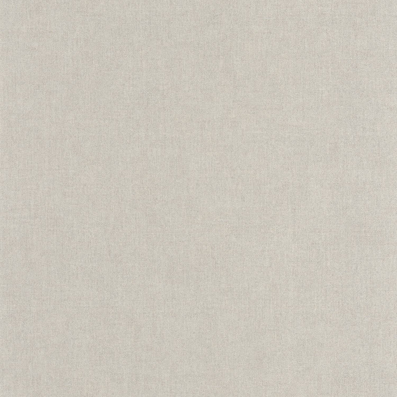 Empreinte Sentier Des Dunes Wallpaper - Gris Nuage - Casadeco - 88709312 - Premier Wallcovering