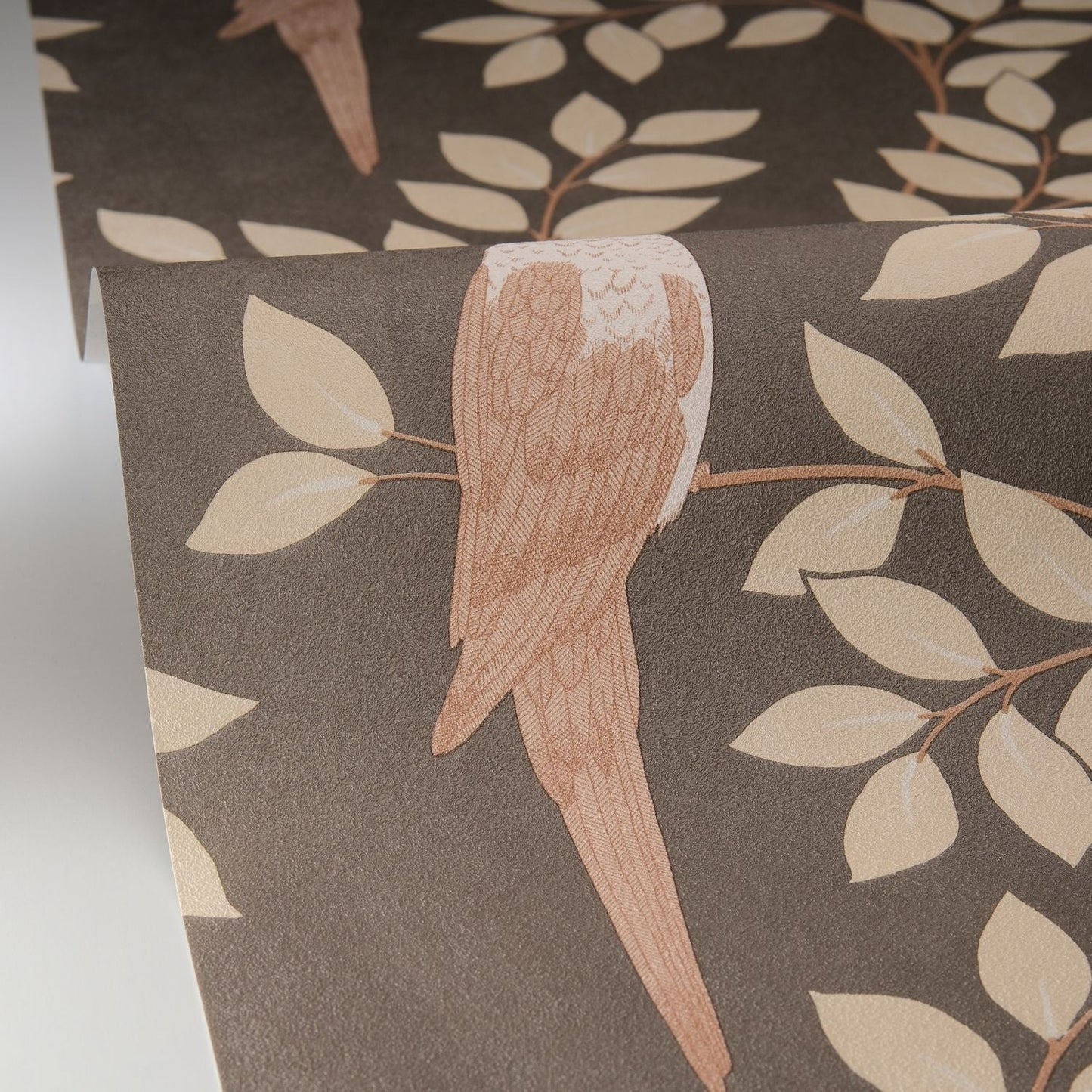 Equateur Wallpaper - Noir Sepia - Caselio - 106529023