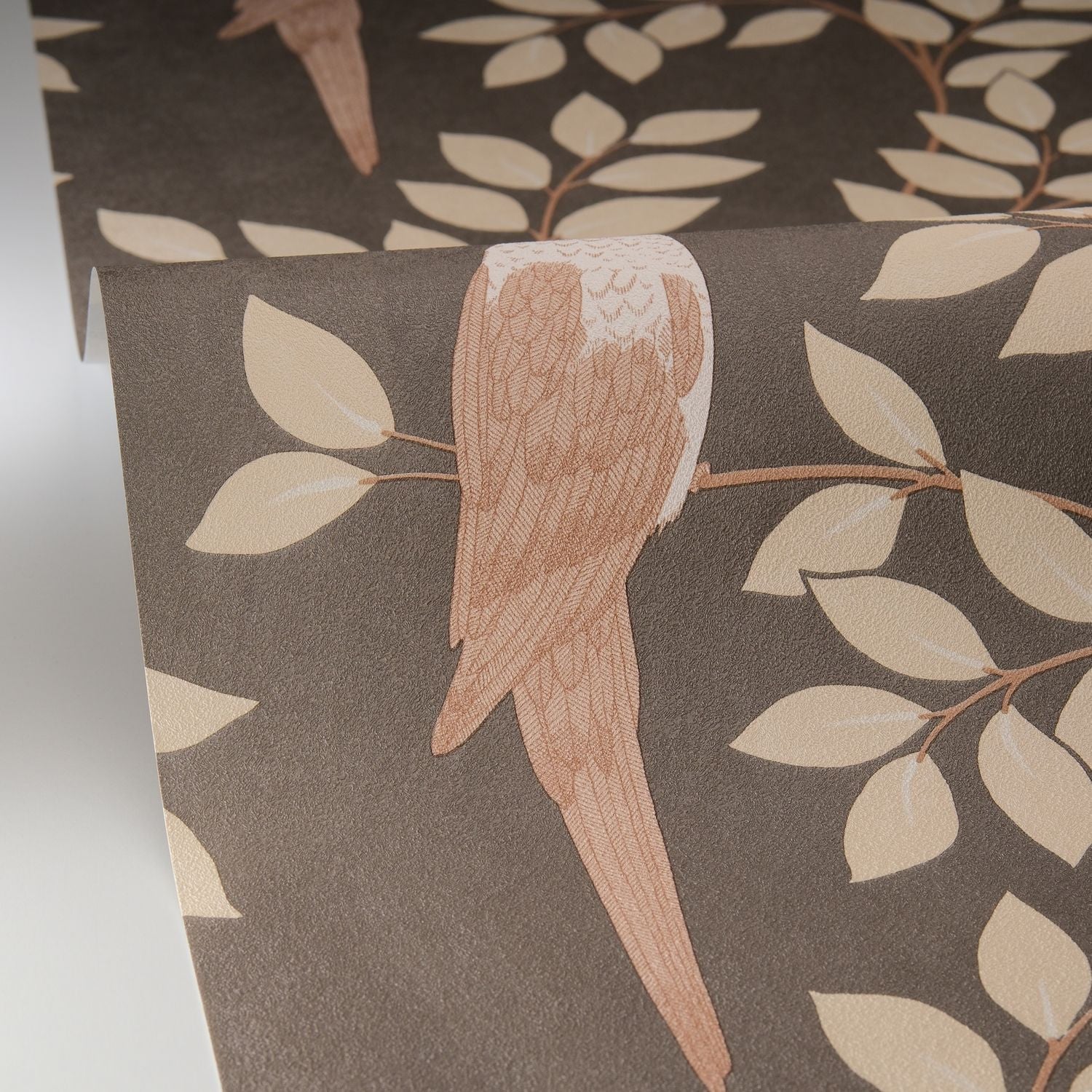 Equateur Wallpaper - Noir Sepia - Caselio - 106529023