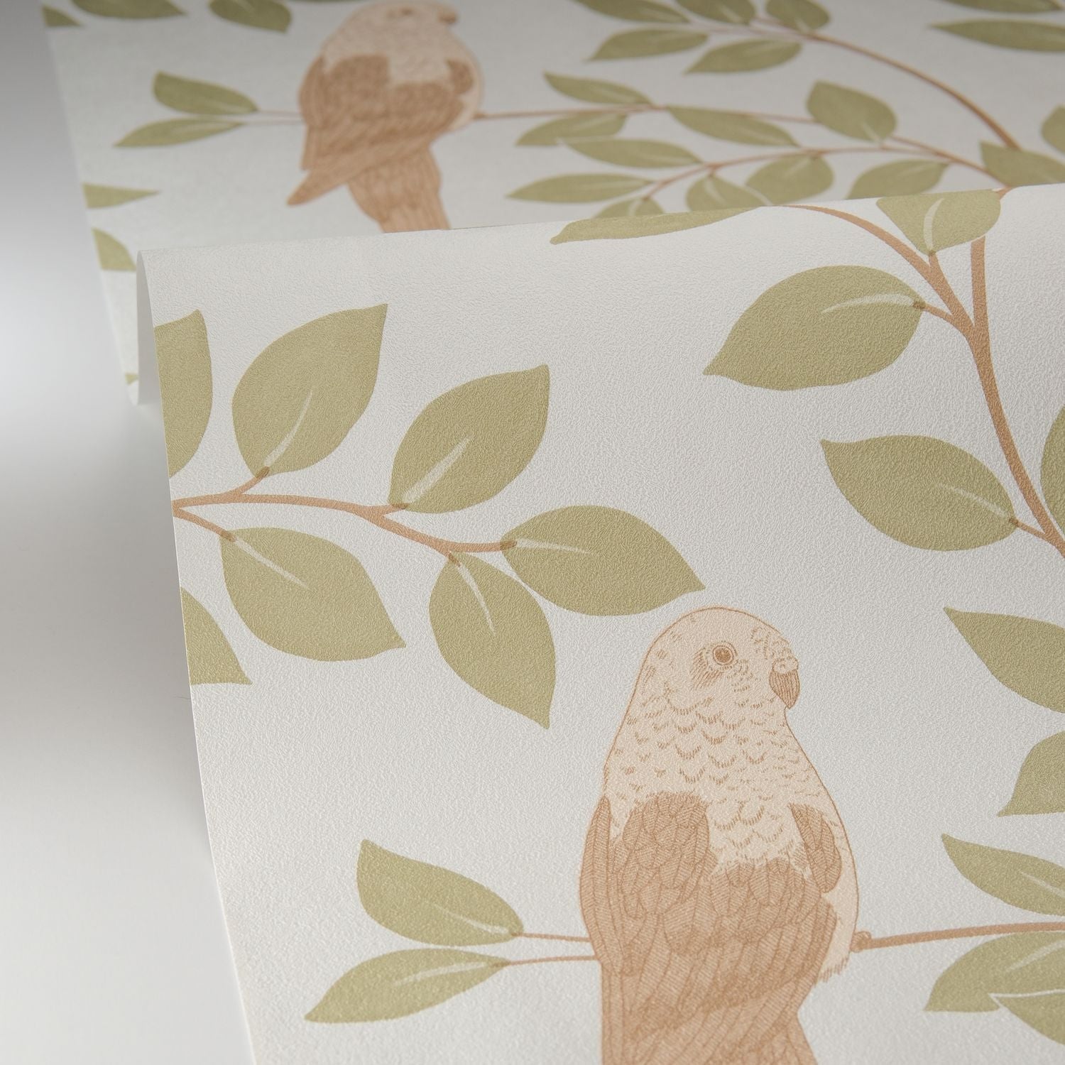 Equateur Wallpaper - Amande - Caselio - 106527070