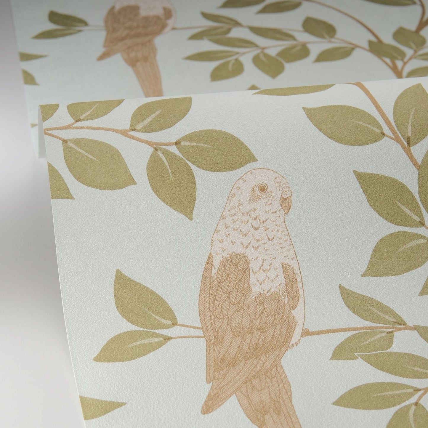 Equateur Wallpaper - Kaki Bleu - Caselio - 106527162