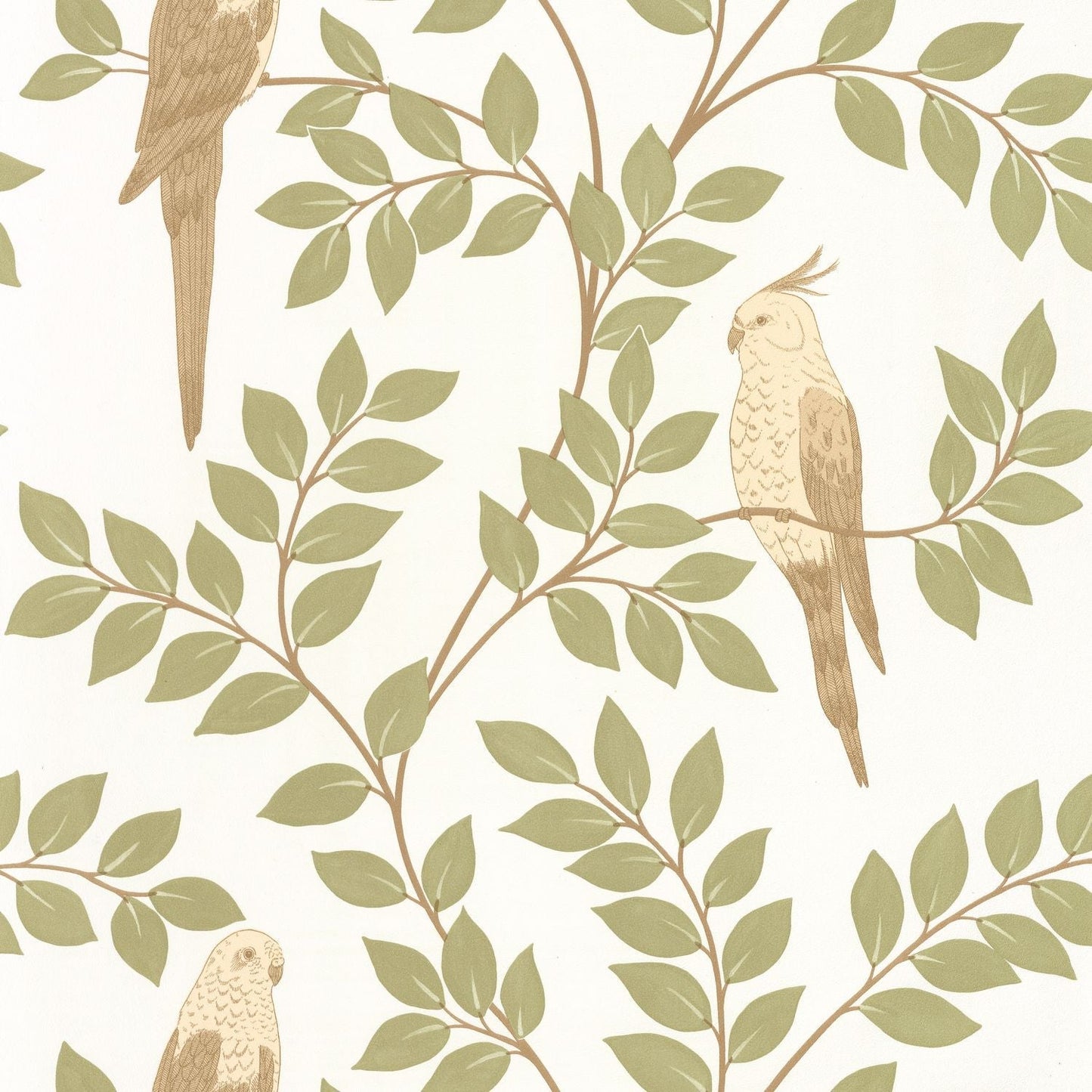 Equateur Wallpaper - Amande - Caselio - 106527070