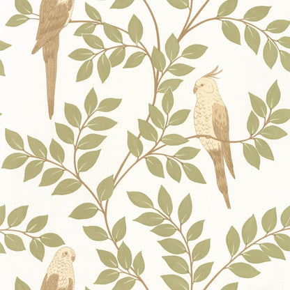 Equateur Wallpaper - Amande - Caselio - 106527070