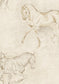 Lewis & Wood - Equus - Beige - Premier Wallcovering