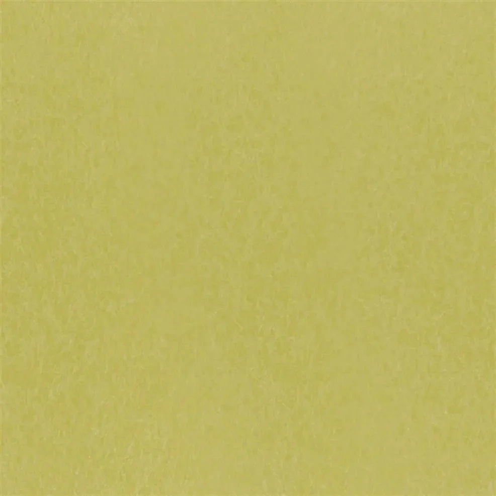 Ernani Wallpaper - Alchemilla - P502/69 - Designers Guild