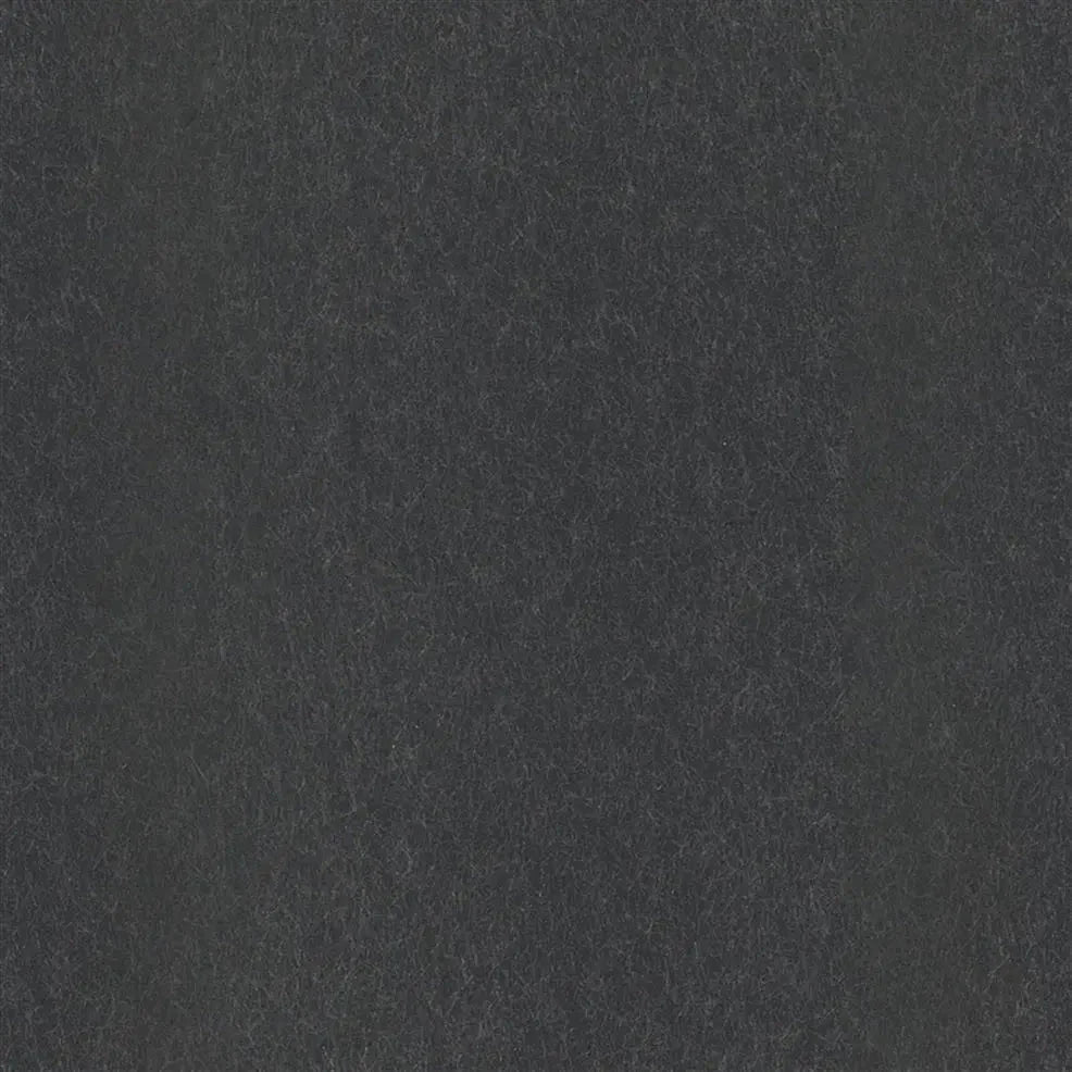 Ernani Wallpaper - Charcoal - P502/70 - Designers Guild