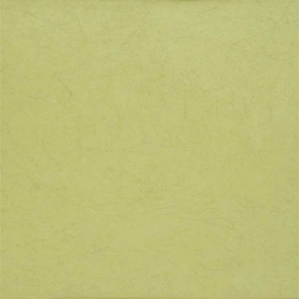 Ernani Wallpaper - Moss - P502/55 - Designers Guild