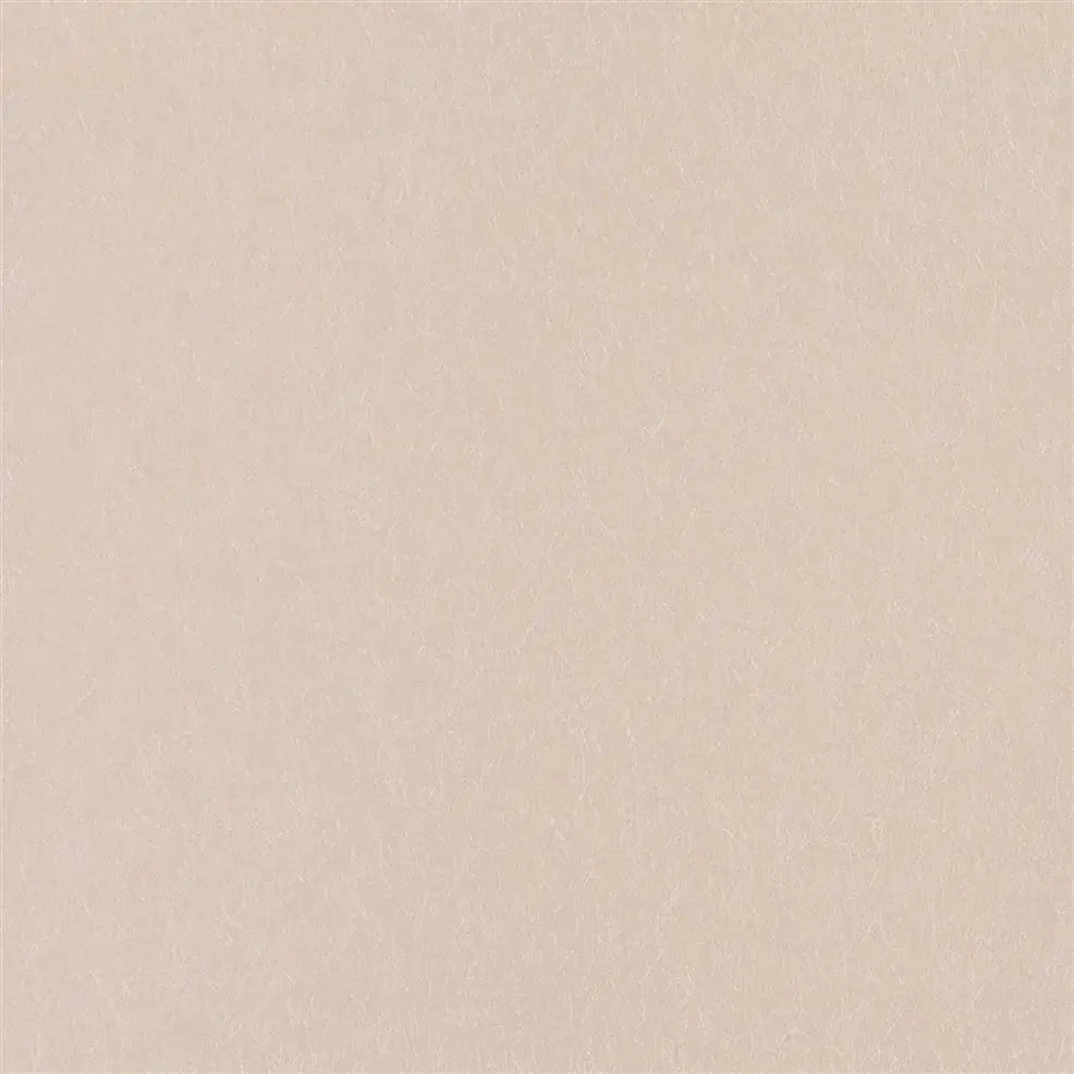 Ernani Wallpaper - Petal - P502/67 - Designers Guild