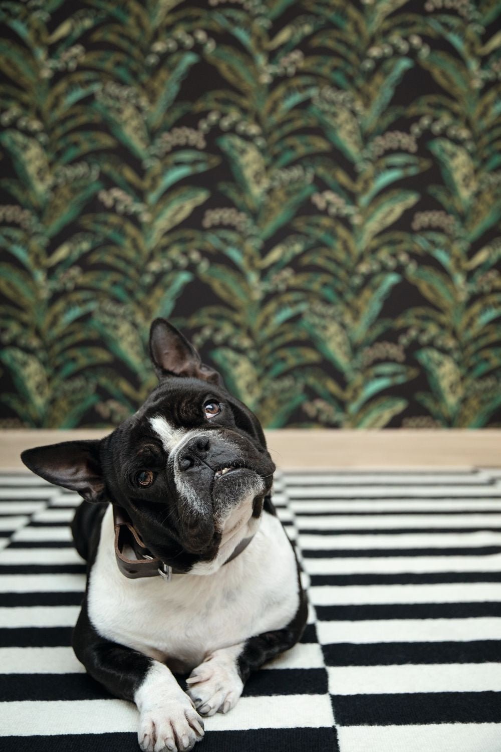 Escapade Epopee Wallpaper - Noir Vert Kaki - Caselio - 102339752