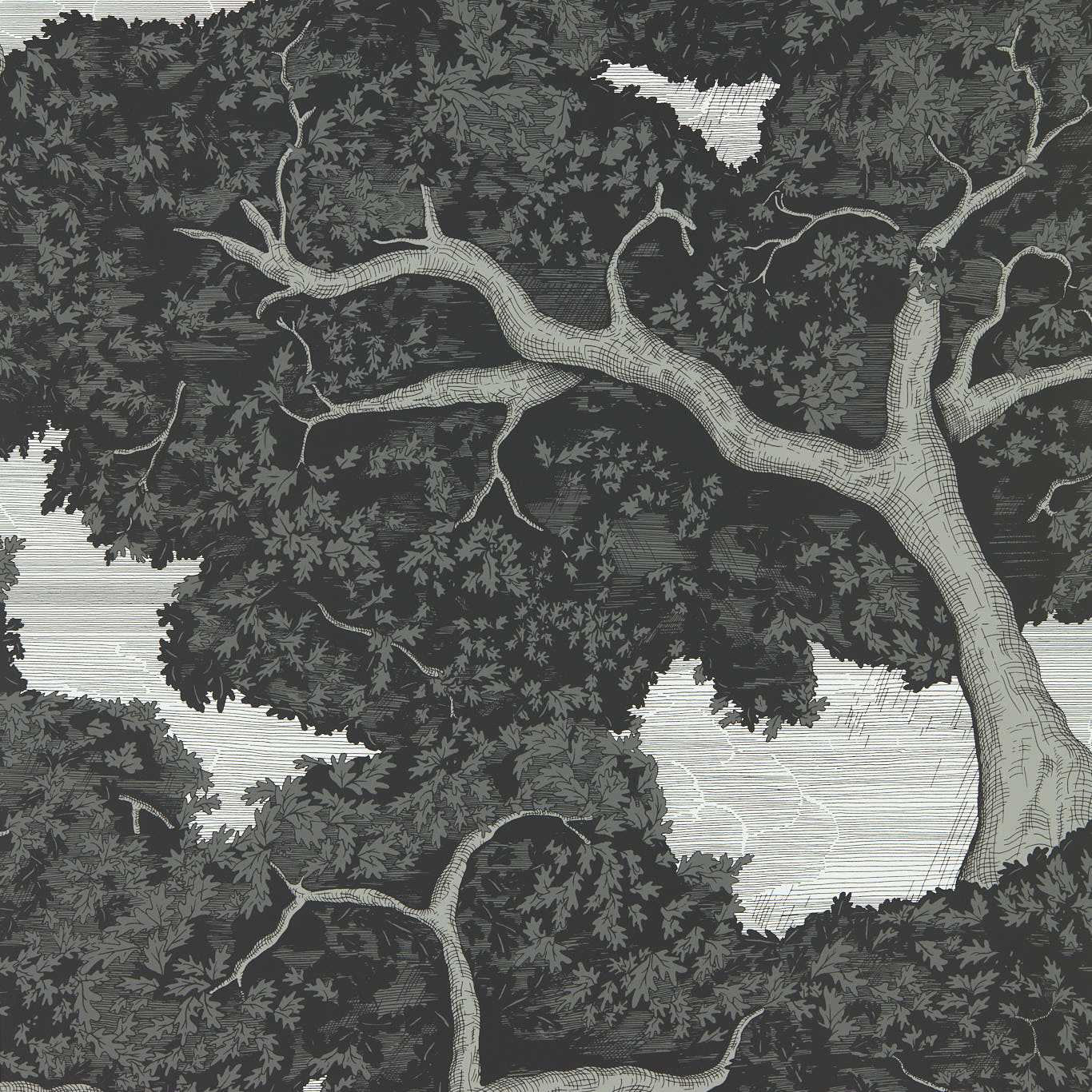 Eternal Oak Wallpaper - Ebony/First Light - Harlequin - HC4W113040