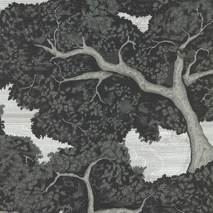 Eternal Oak Wallpaper - Ebony/First Light - Harlequin - HC4W113040
