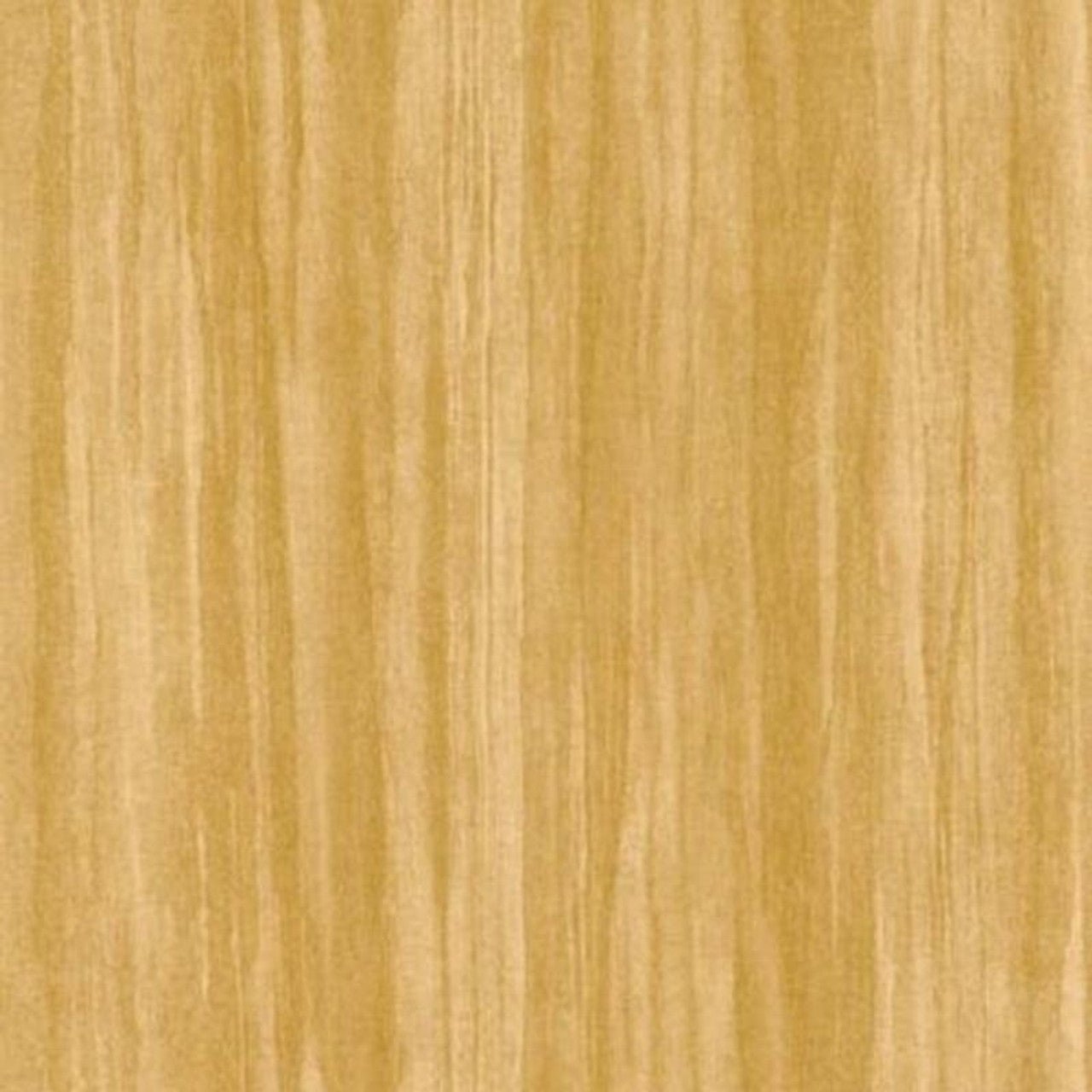 Eucalyptus Woods Wallpaper - Miel - Casadeco - 85982323 - Premier Wallcovering