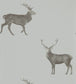 Evesham Deer Wallpaper - Silver Grey - DYSI216619 - Sanderson