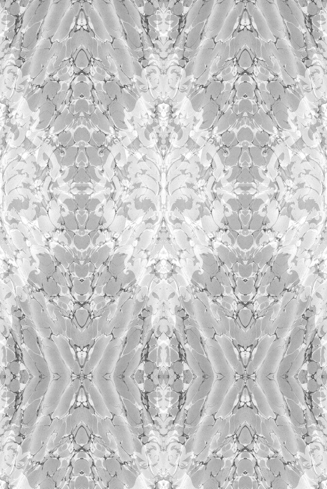 Ex Libris Wallpaper - Mist Grey - Timorous Beasties - ROR/XLIB/PRL/09 - Premier Wallcovering