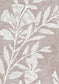 Fan Flower Wallpaper - Shell - Lewis & Wood - Premier Wallcovering