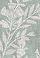 Fan Flower Wallpaper - Eucalyptus - Lewis & Wood - Premier Wallcovering