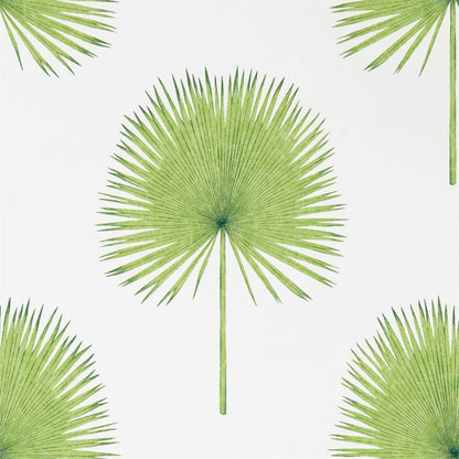 Fan Palm Wallpaper - Botanical Green - Sanderson - DGLW216636