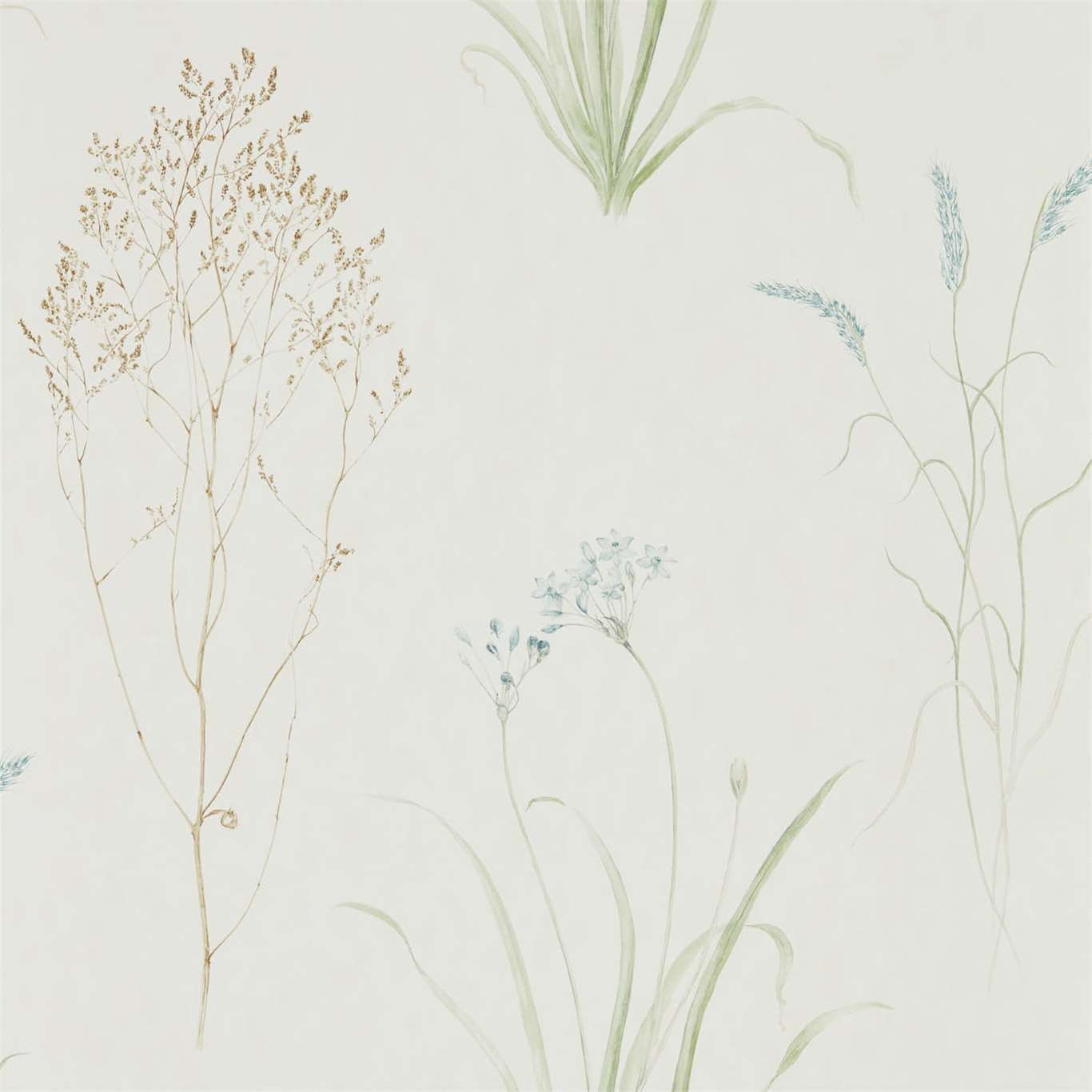 Farne Grasses Wallpaper - Cream/Sage - Sanderson - DEBB216486