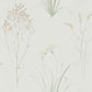 Farne Grasses Wallpaper - Willow/Pebble - Sanderson - DEBB216488