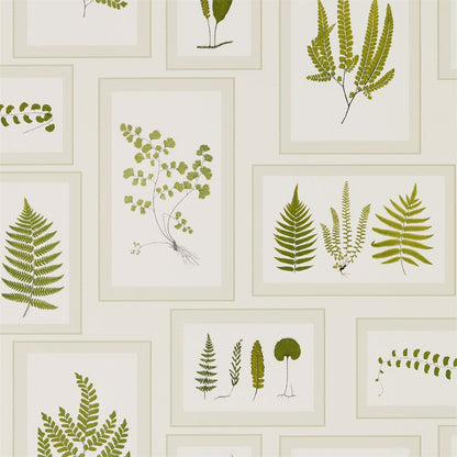 Fern Gallery Wallpaper - Ivory/Green - Sanderson - DWOW215712