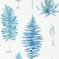Fernery Wallpaper - China Blue - Sanderson - DGLW216635