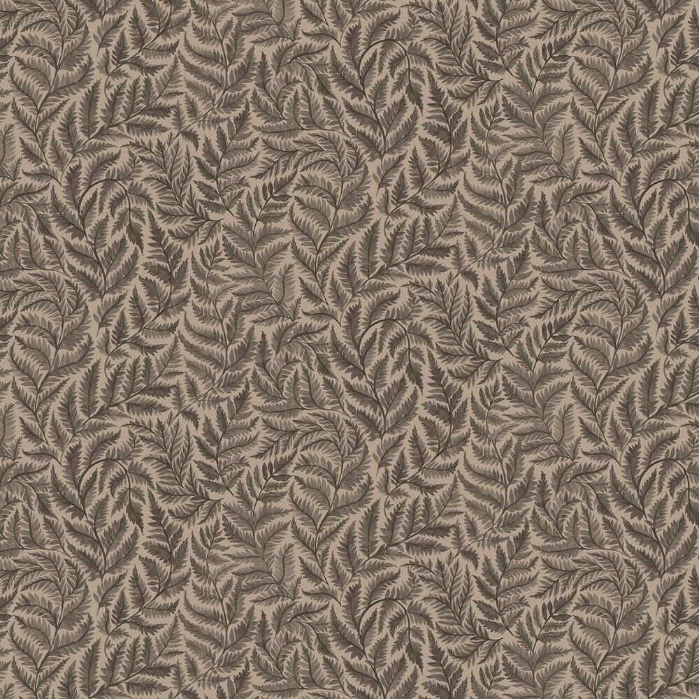 Ferns Wallpaper - Charcoal - Boråstapeter - 7793 - Premier Wallcovering