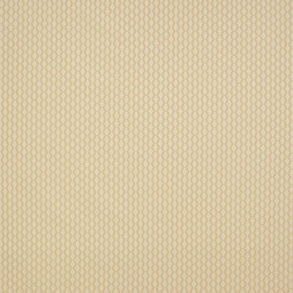 Ferres Fabric - Nacre - Manuel Canovas - M4016-01 - Premier Wallcovering