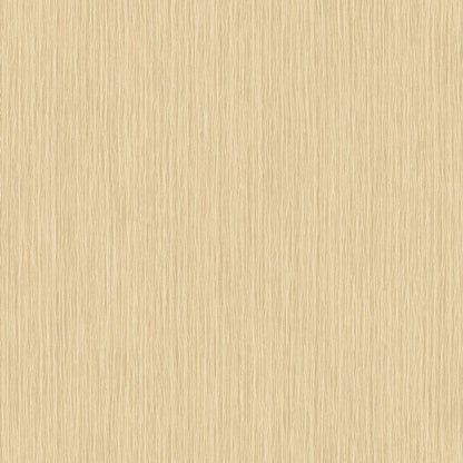 Fiber Vert Lichen Wallpaper - Beige Sable - Casadeco - 82391587 - Premier Wallcovering