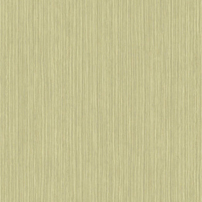 Fiber Wallpaper - Vert The - Casadeco - 82397623 - Premier Wallcovering