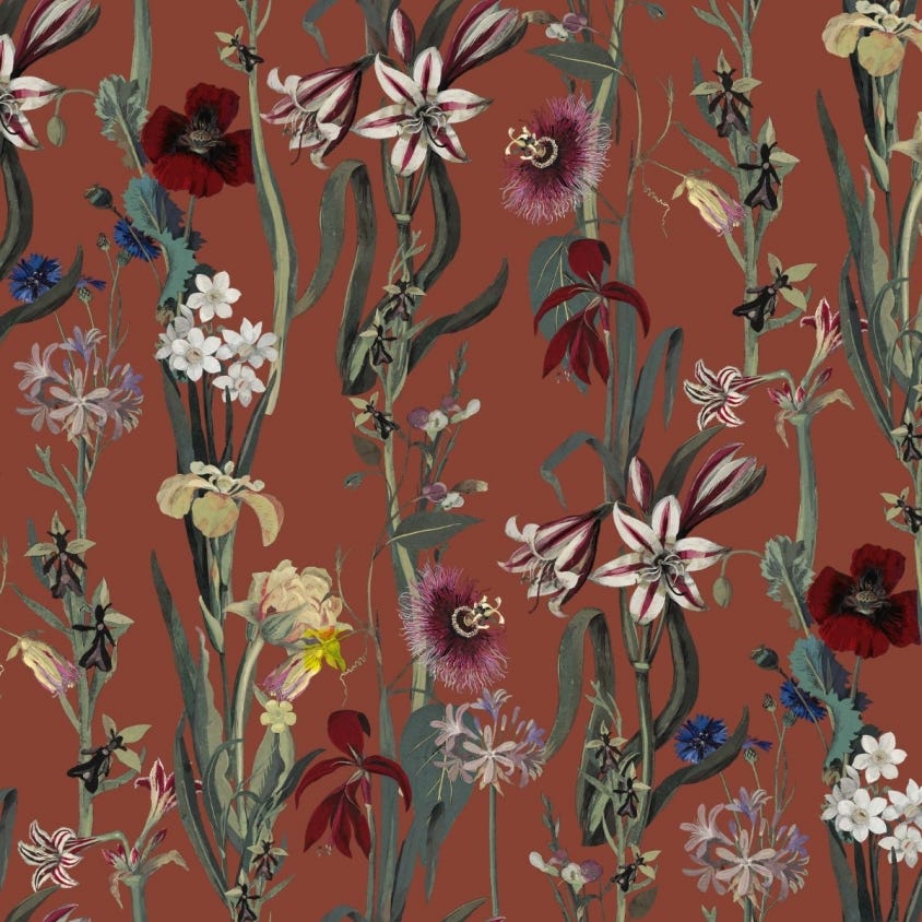 Flora Delanica Wallpaper - Clay - House of Hackney - 1-WA-DEL-DI-CLA-XXX