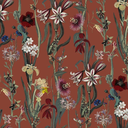 Flora Delanica Wallpaper - Clay - House of Hackney - 1-WA-DEL-DI-CLA-XXX
