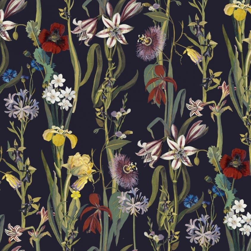Flora Delanica Wallpaper - Midnight - House of Hackney - 1-WA-DEL-DI-MID-XXX