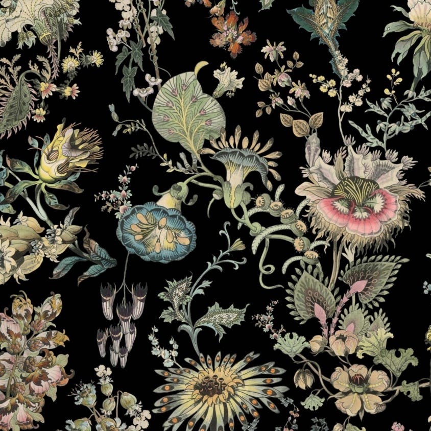 Flora Fantasia Wallpaper - Noir - House of Hackney - 1-WA-FLF-DI-NOI-XXX
