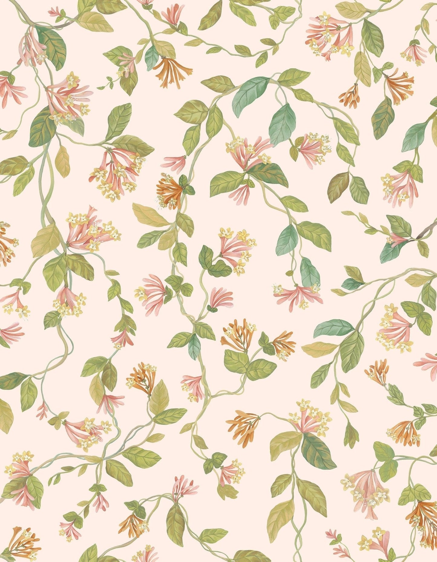 Flora Wallpaper - Tangerine & Olive on Blush - 124/3016 - Cole & Son - Premier Wallcovering