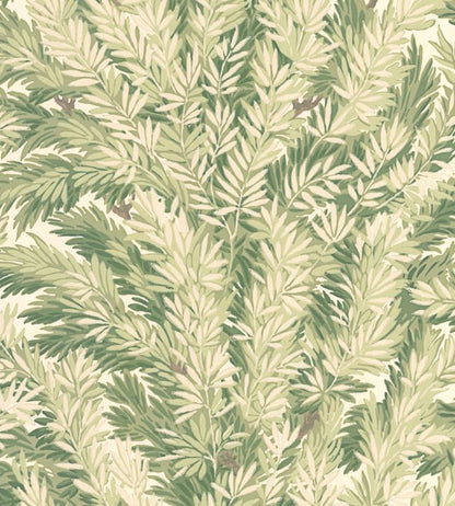 Florencecourt Wallpaper - Olive on Cream - 100/1003 - Cole & Son - Premier Wallcovering