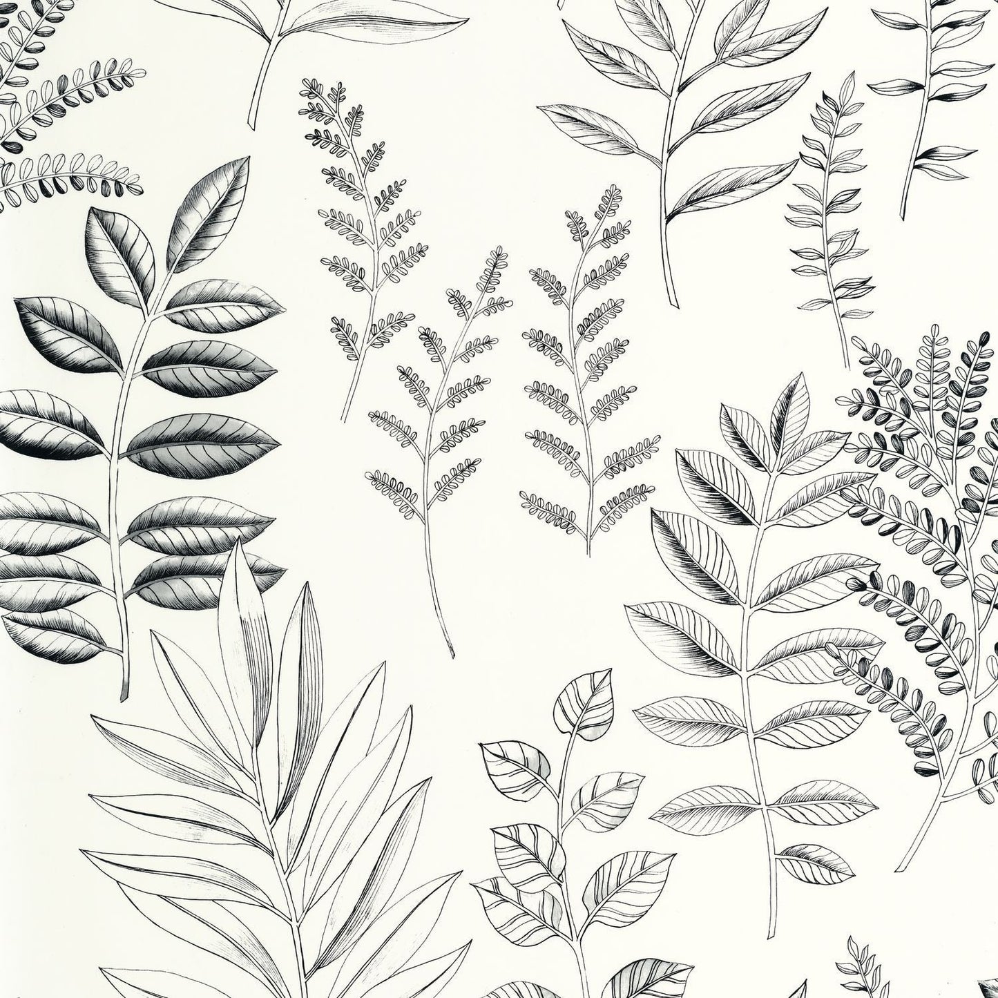 Florium Wallpaper - Noir blanc - Caselio - 106660990