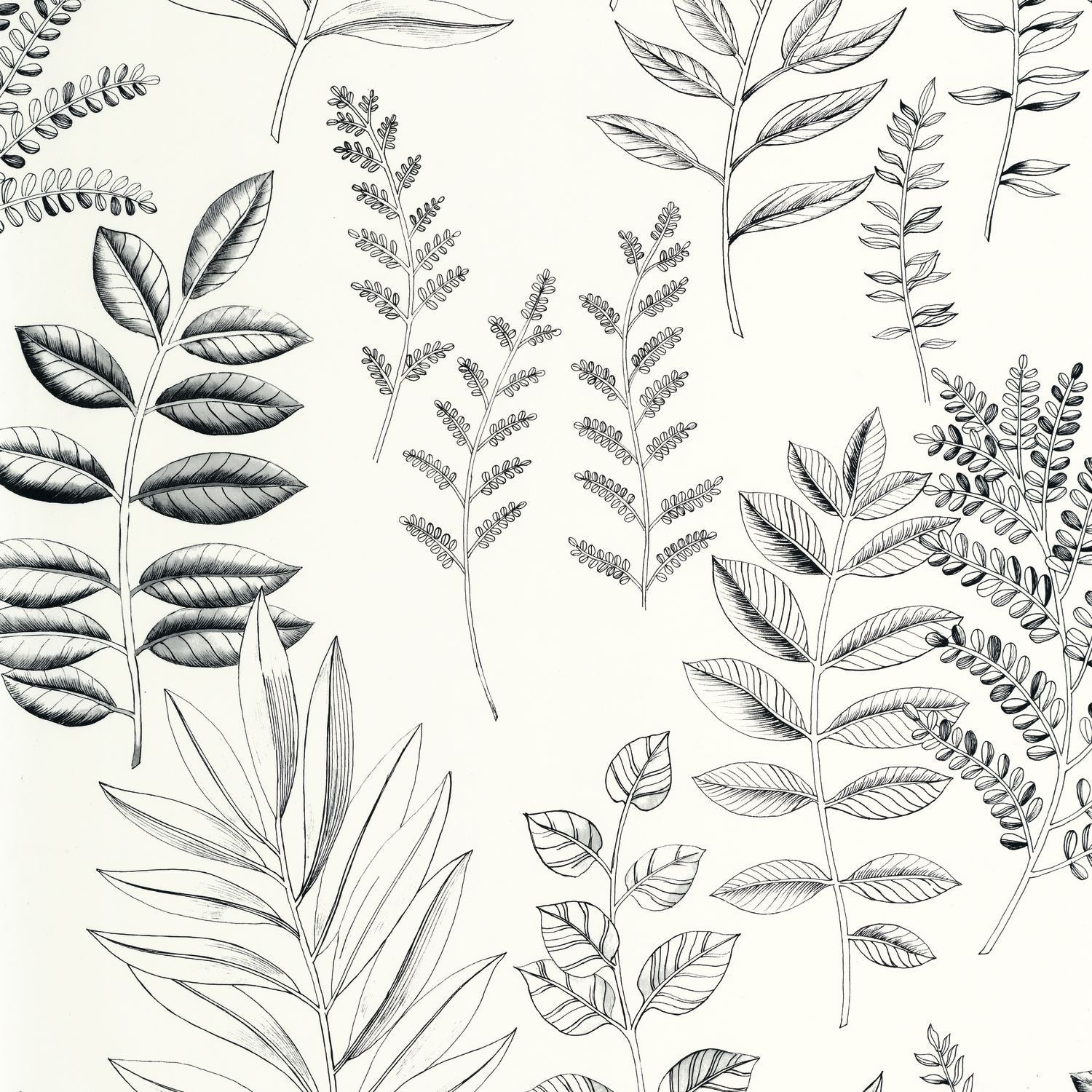 Florium Wallpaper - Noir blanc - Caselio - 106660990