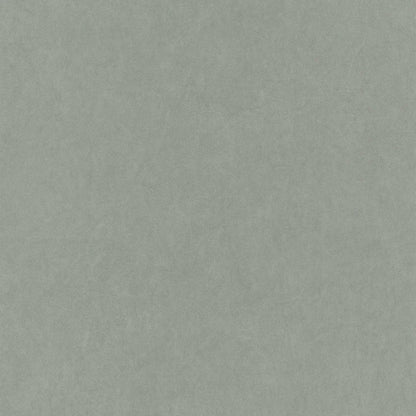 Flower Market Cotton Touch Wallpaper - Amande - Casadeco - 82387117 - Premier Wallcovering