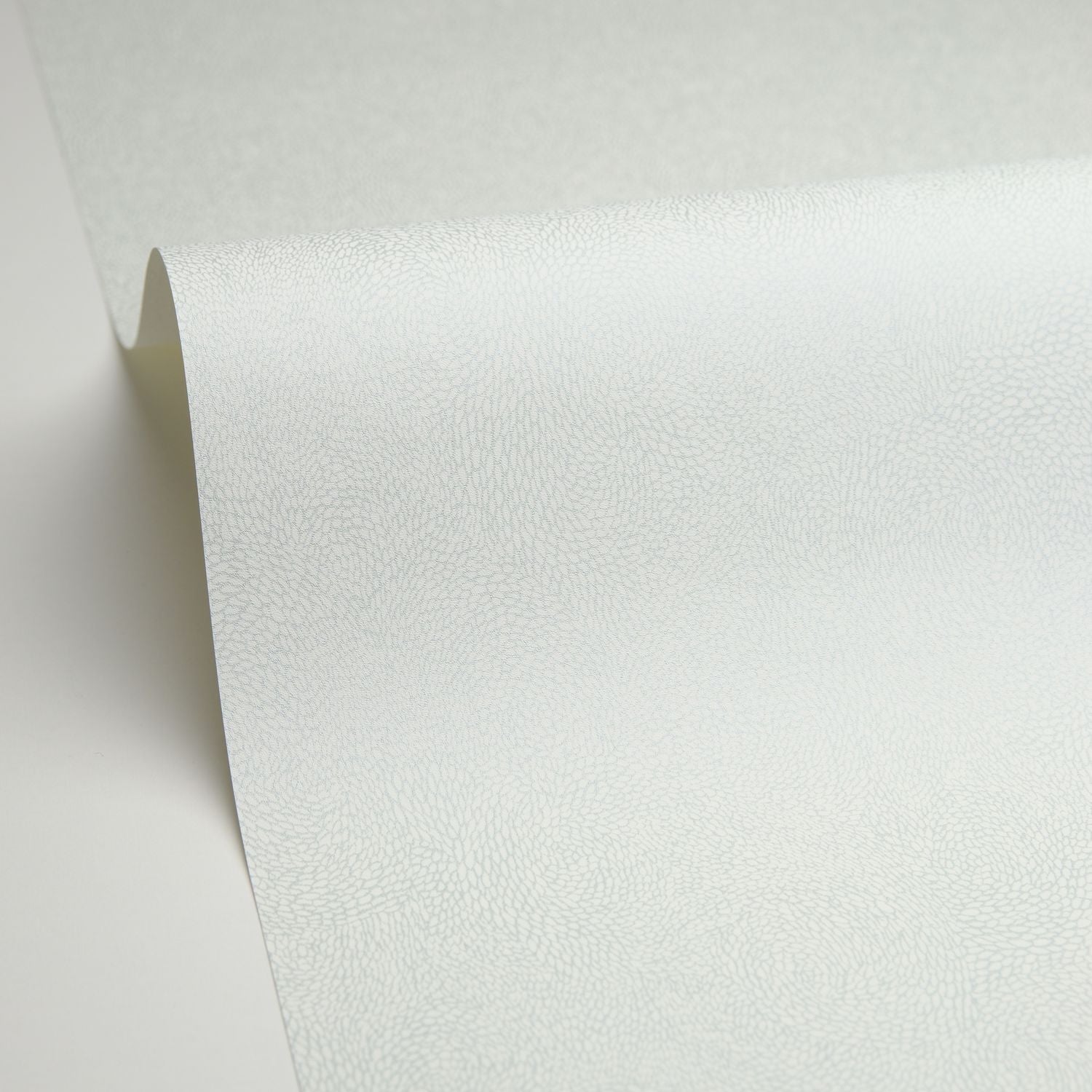 Flower Power April Wallpaper - Vert D'eau Irise - Caselio - 101847028