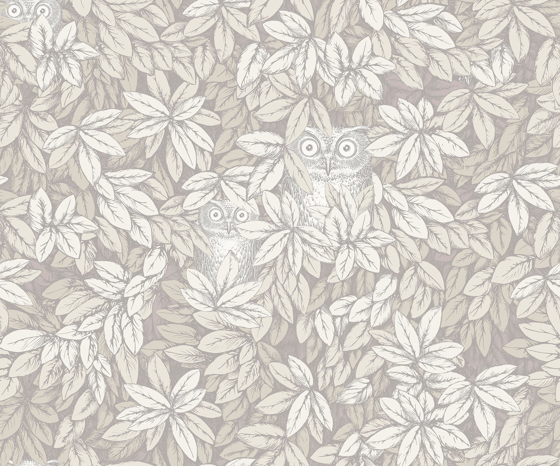 Foglie e Civette Wallpaper - White - 123/11052 - Cole & Son - Premier Wallcovering