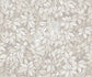 Foglie e Civette Wallpaper - White - 123/11052 - Cole & Son - Premier Wallcovering