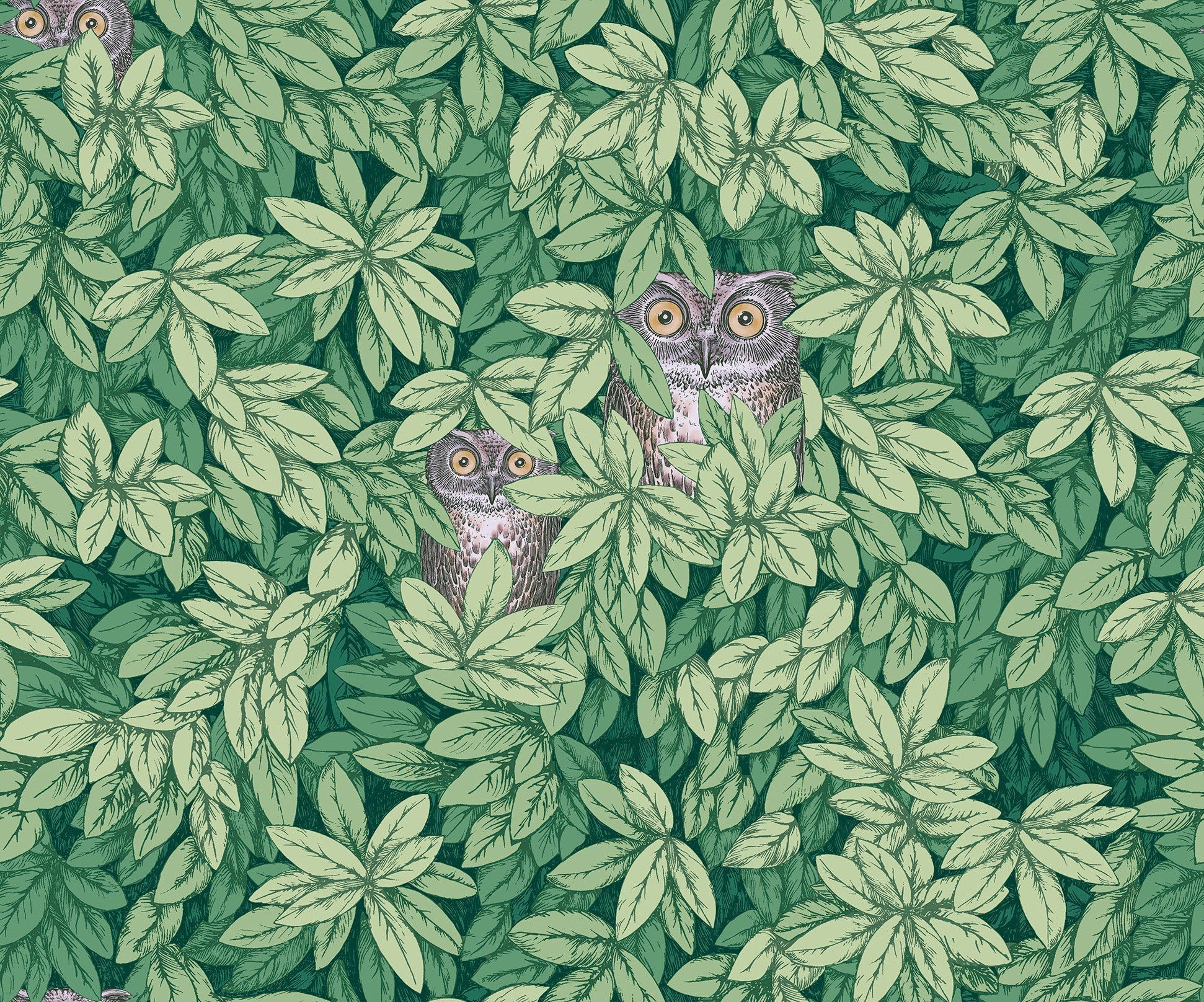 Foglie e Civette Wallpaper - Forest Green - 123/11054 - Cole & Son - Premier Wallcovering