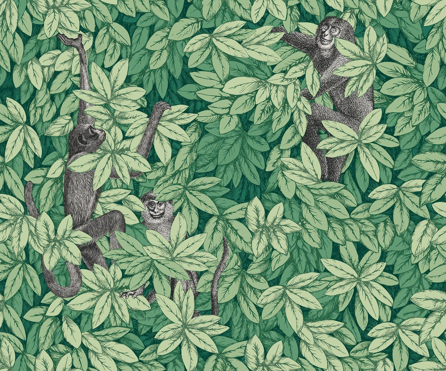 Foglie e Scimmie Wallpaper - Forest Green - 123/10049 - Cole & Son - Premier Wallcovering