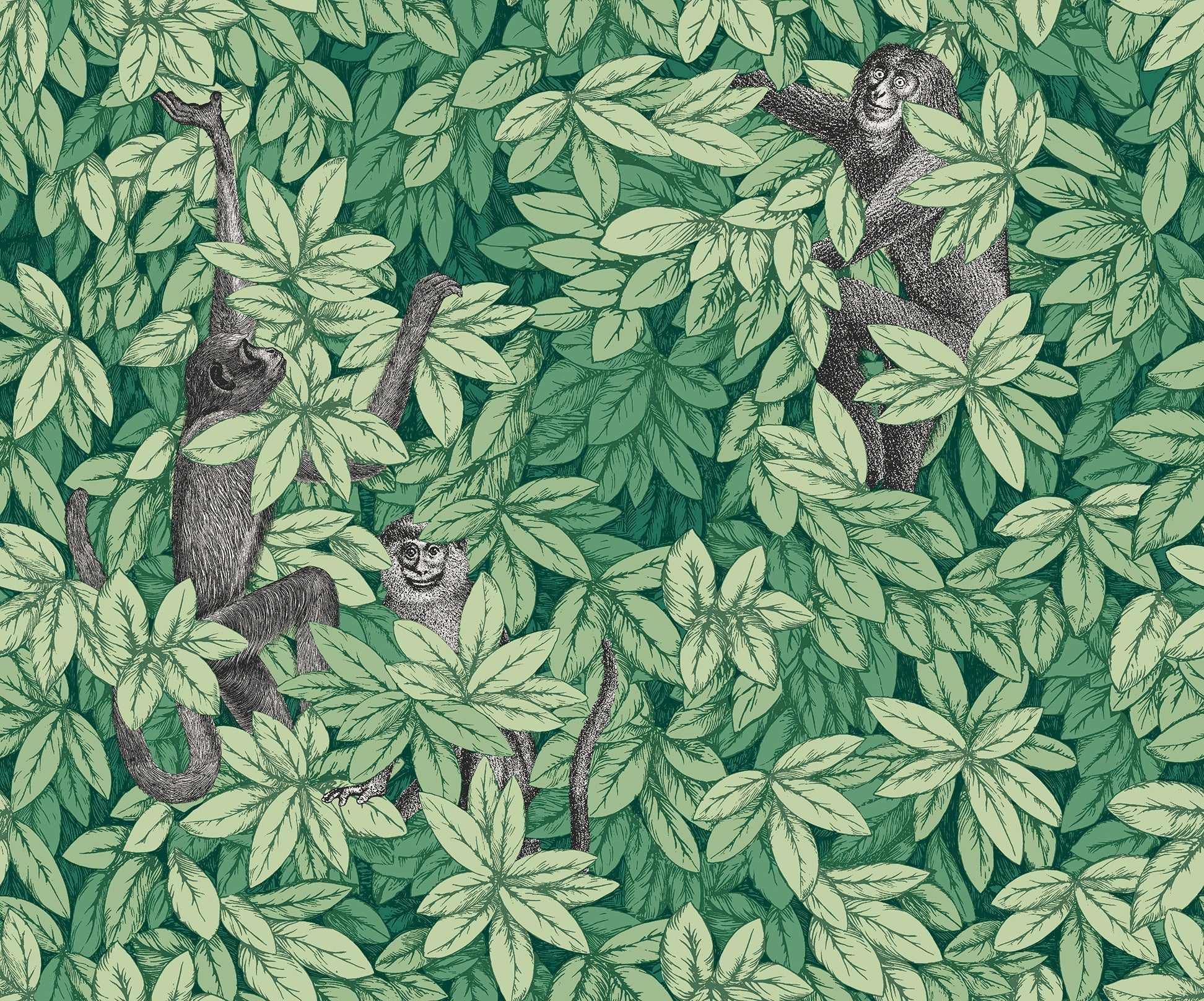 Foglie e Scimmie Wallpaper - Forest Green - 123/10049 - Cole & Son - Premier Wallcovering