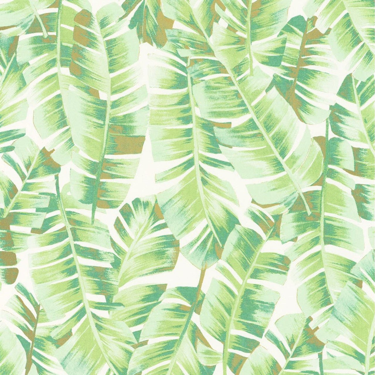 Folium Botanica Wallpaper - Vert Feuille - Casadeco - 85947340 - Premier Wallcovering