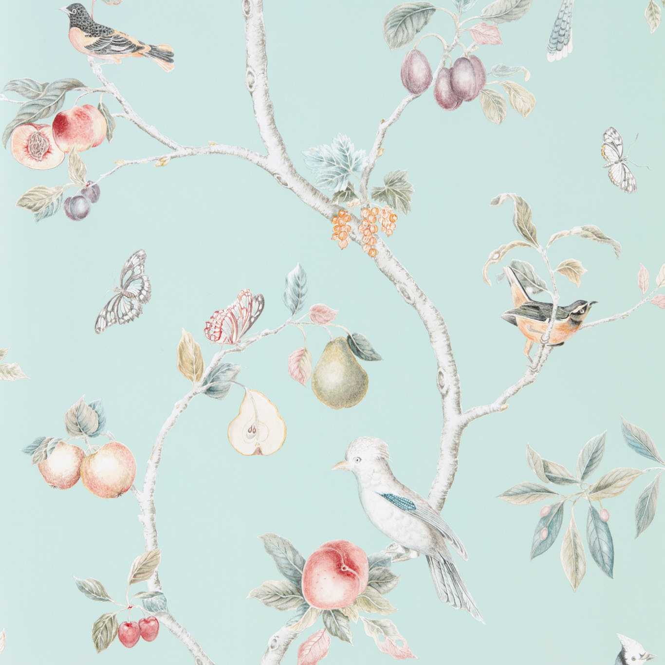 Fruit Aviary Wallpaper - Duck Egg/Multi - Sanderson - DART216312