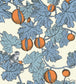 Frutto Proibito Wallpaper - Hyacinth & Orange on White - 114/1003 - Cole & Son - Premier Wallcovering