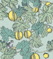 Frutto Proibito Wallpaper - Print Room Blue & Lemon - 114/1002 - Cole & Son - Premier Wallcovering